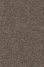 Ковролин AW Stainguard Harvest 42 фото 1 | FLOORDEALER